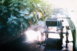 �S���̐���